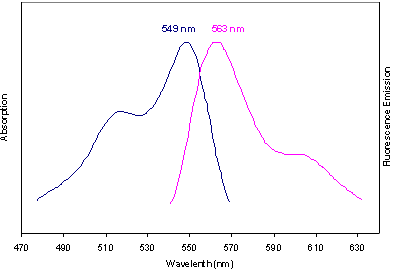 Absorbance and Fluorescence Emission