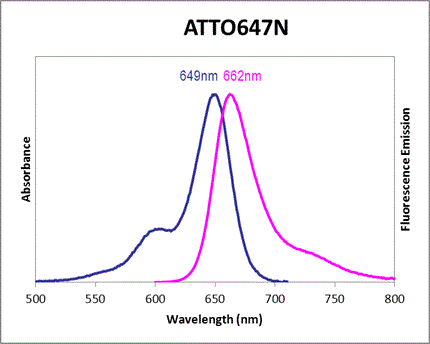 Absorbance and Fluorescence Emission